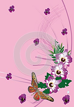 Three purple orchid flowers and butterfly