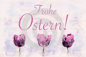 Three purple tulips and german words for happy easter