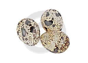 Three quail eggs on white background