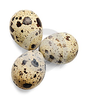 Three quail eggs on a white isolated background. View from above. Close-up.