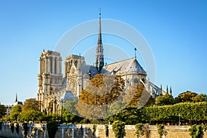 Notre-Dame de Paris cathedral by a sunny fall evening