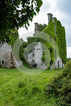 A three quarter view of the spectacular and magical ivy clad castle that has been left abandoned and left to the forces