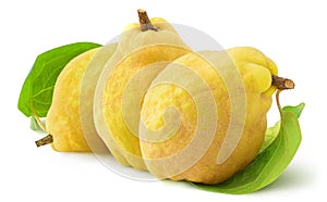 Three quince fruits on white background