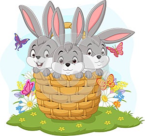 Three rabbits cartoon in the basket