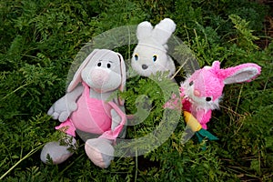 Three rabbits, soft toys, on among the tops of a growing carrot.