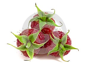 Three raspberries isolated on white background close-up