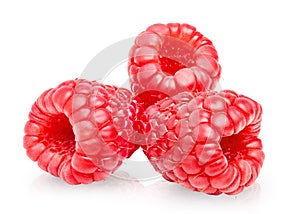 Three raspberry berries on white background