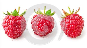 Three Raspberry collection isolated on a white background