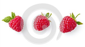 Three Raspberry collection isolated on a white background