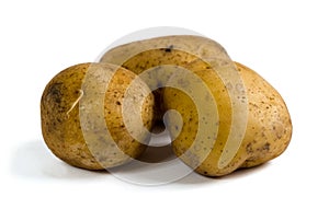 Three raw potatoes on white background