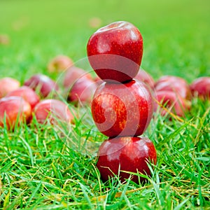 Three red apples stacked in grass field