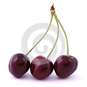 Three red cherries