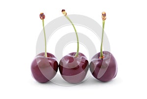 Three red cherries