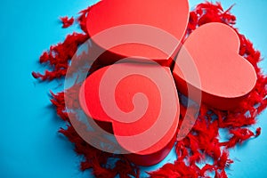 Three red, heart shaped gift boxes placed on blue background among red feathers