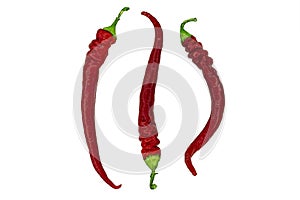 Three red hot peppers isolated on white background. Image for project and design