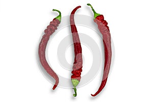 Three red hot peppers isolated on white background. Image for project and design