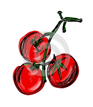 Three red juicy tomatoes on a branch. Hand drawn branch with tomatoes.