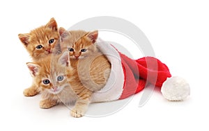 Three red kittens in the hat Santa.