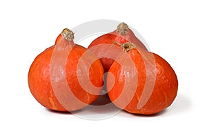 Three \'Red Kuri\' squashes, also called \'Hokkaido\' squash