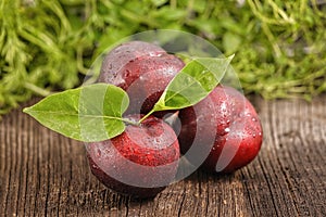 Three red plums with green leafs