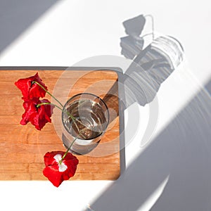 Three red poppies flowers in glass vase with water on white table and wooden background with contrast sun light and shadows close