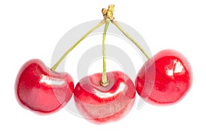 Three red ripe cherries isolated on white