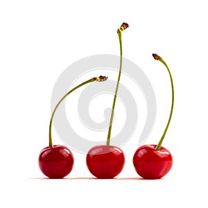 Three red ripe cherries isolated on a white background.