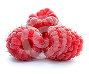 Three Red Ripe Juicy Raspberries Isolated on White Background