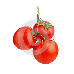 Three red ripe tomatoes with green leaves on one branch on white background isolated close up, beautiful red cherry tomatoes bunch