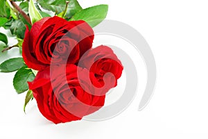 three red roses img