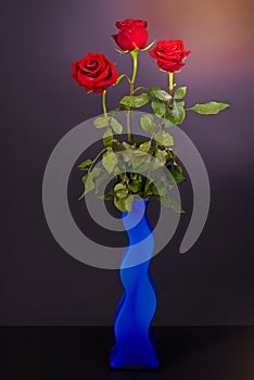 Three red roses in a blue vase on a dark background, photo in a low key