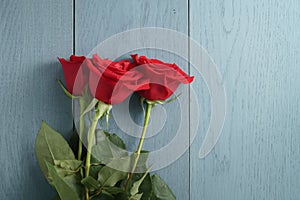 Three red roses on blue wood table with copy space