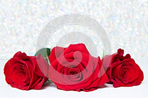 Three Red Roses with boke Background. copy space - Valentines and 8 March Mother Women's Day concept