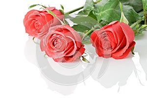 Three red roses boquet