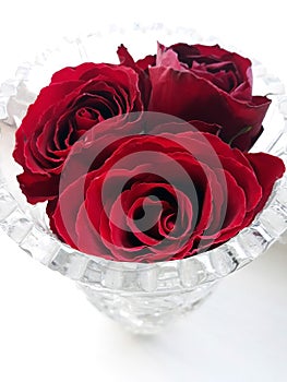 Three red roses in a crystal vase on the windowsill.