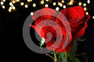 Three red roses on dark background