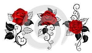 Three red roses for tattoo photo