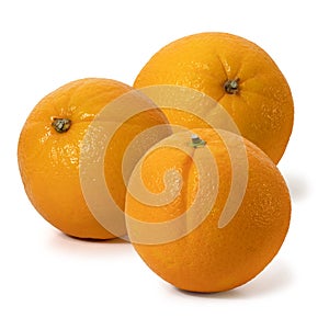 Three Red sicilian orange on a white background. Full depth of field.