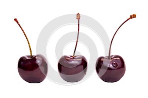 Three red sweet cherries close-up isolated on a white background.