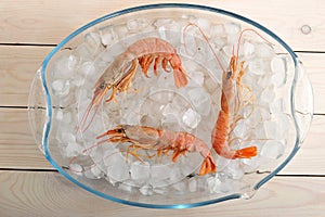 Three red tiger shrimp on ice