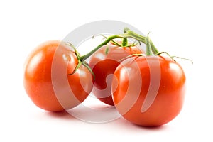 Three red tomatoes on a white background