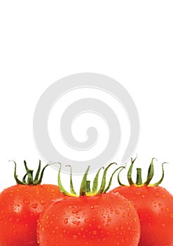 Three red tomatos isolated on white background