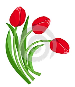 Three red tulips. Vector illustration.