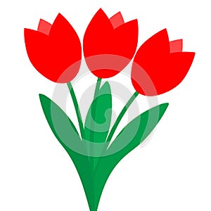 three Red Tulips on white background