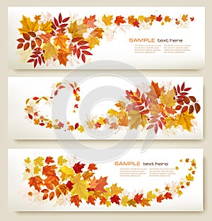 Three retro abstract autumn banners with colorful leaves and berries.