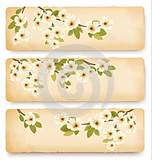 Three retro spring banners with blossoming tree br