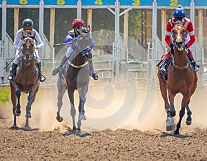 Three Riders After the Start of the Horse Race