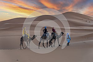 Three Riders And Their Handler Travel Through The Saharan Desert On Their Camels In Morocco