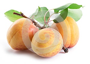 Three ripe apricots isolated on the white background