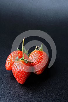 three ripe berry red strawberry on a black dark gradation background. Natural side light. Portrait photography with copy space